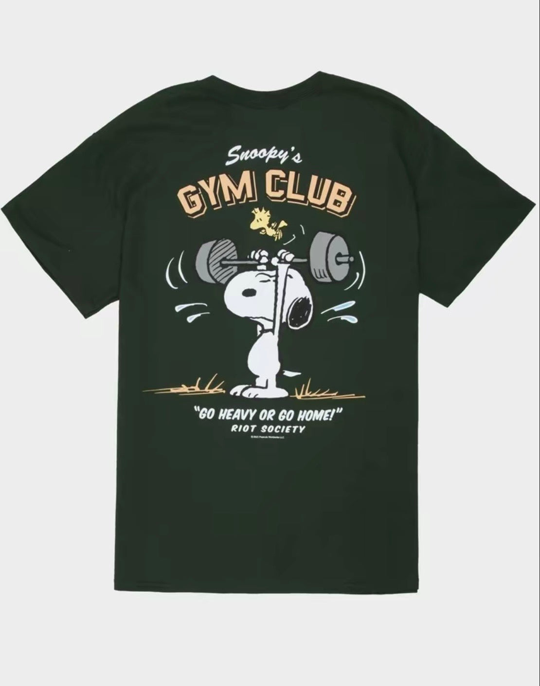 Go Heavy Or Go Home Gym Club T-Shirt/Sweatshirt/Hoodie