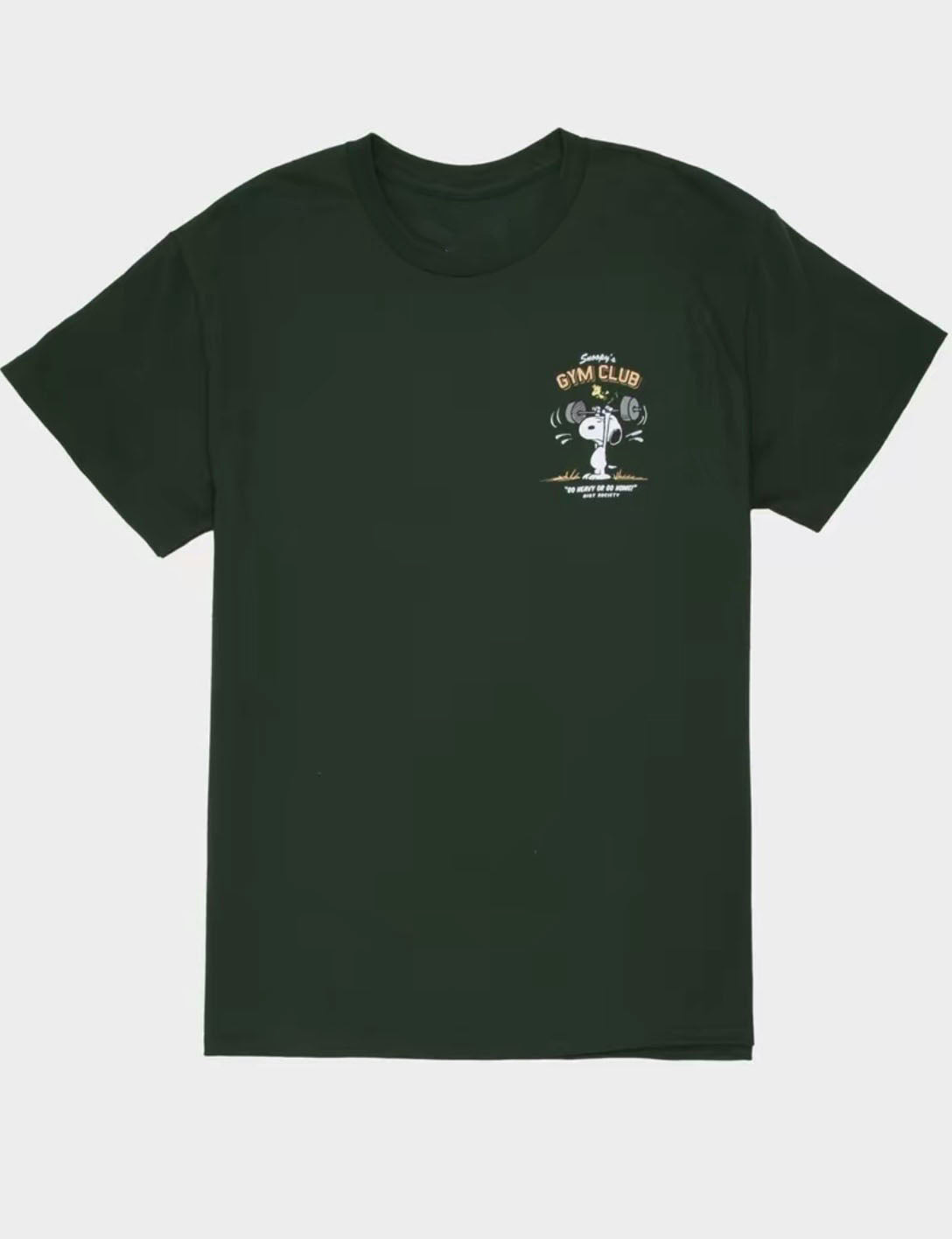 Go Heavy Or Go Home Gym Club T-Shirt/Sweatshirt/Hoodie
