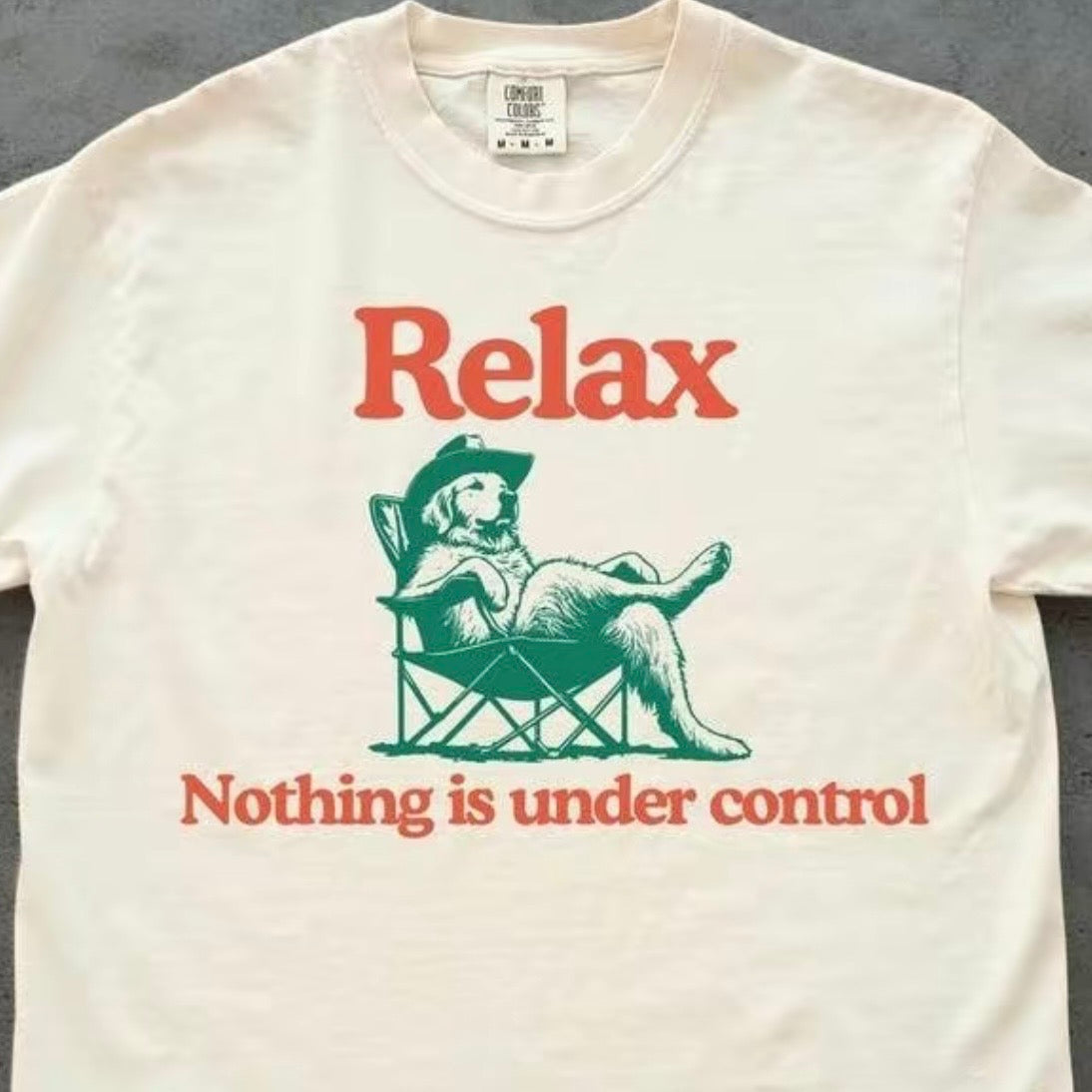 Relax Nothing Is Under Control Chill Dog Vintage T-Shirt/Sweatshirt/Hoodie